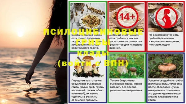 СК Абаза