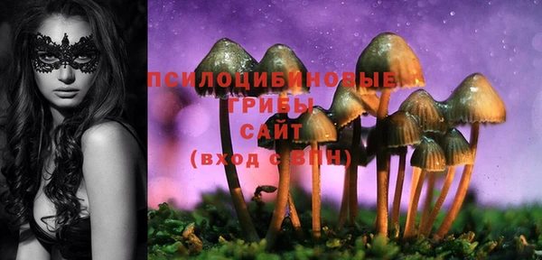 дмт Абдулино