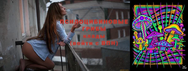 шишки Пролетарск